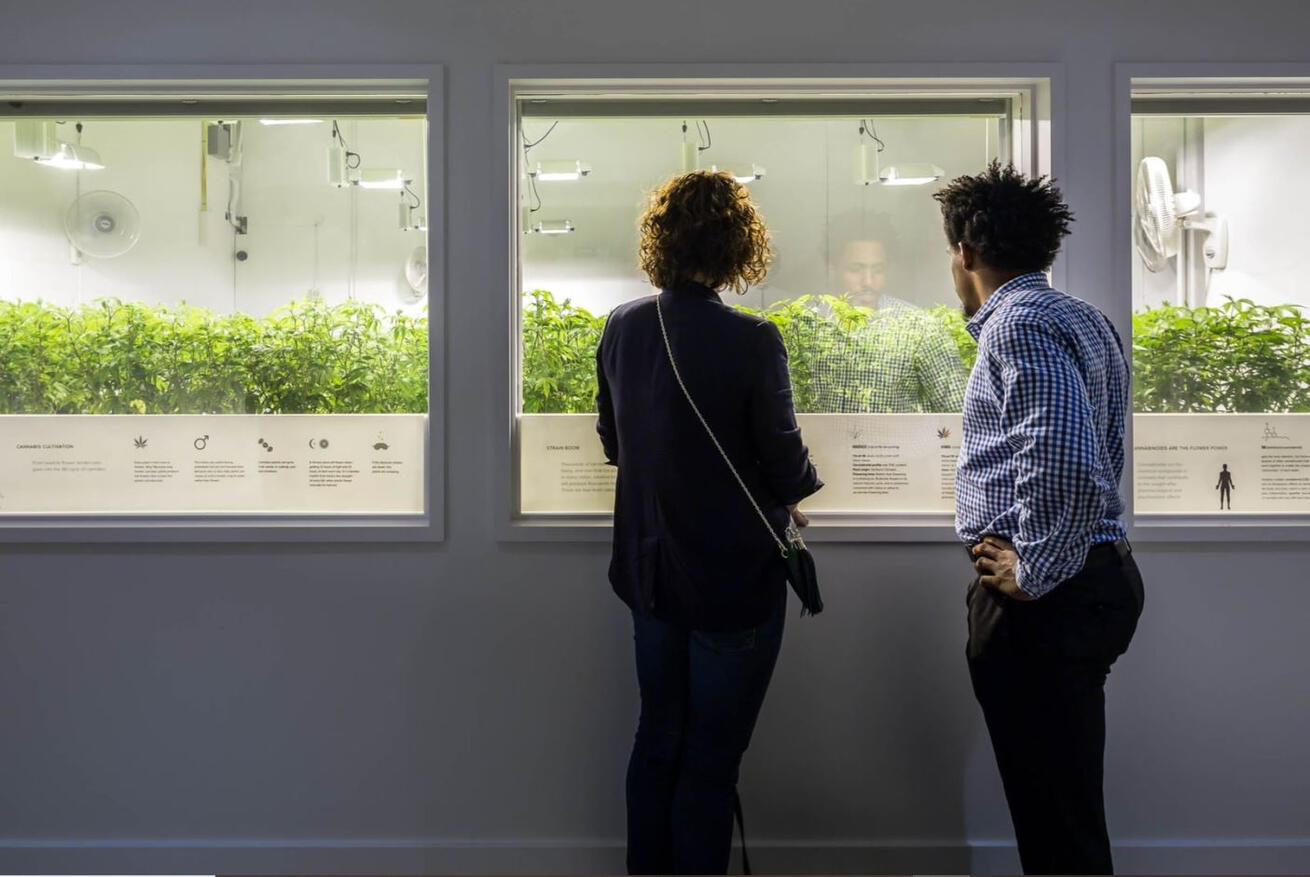 Seattle, WA - SoDo - Commercial Tenant Improvement - Cannabis Facility